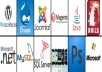Design and development Wordpress website with 1 domain free + 1 year web hosting