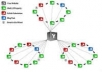 reveal Correctly Connected Back Link Wheel via Flowchart Image Illustration for