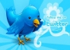 increase 14444 Plus REAL looking Twitter Followers To Any Twitter Account No Unfollows No Eggs