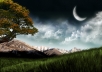 will like your business on Facebook and follow on twitter