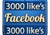 giVe you 3000 USA Facebook Likes GARUNTEED in 24 hours for