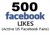 Give you 500 Real US Facebook Likes only