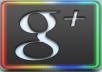 Provide 500+ Real Google plus like/vote/follow/share in your website,blog,Url within 6-12 hrs only