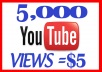 Send 5000 Natural High Retention Views to Your Youtube Video