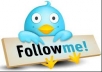 add 10,000 TopQuality Permanent Twitter Followers to Your Twitter Account 
