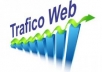 give 30k of REAL Visits on your Website