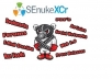 run SEnuKE xcr to create safe backlinks and BOOST website rankings immediately!!