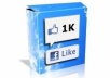 send 1300 USA HIGHQUALITY likes to your Facebook fan page in 13 hours