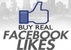 Give You 1,000+ Real And Active Facebok Likes / Fans