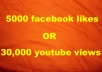 give 5000+ facebook likes to your page