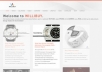 Watches or fashion products sponsored review