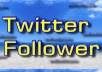 add 100000 Twitter Followers to your account