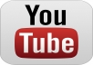 Give You 2,000 YouTube Views In Less then 1Hour