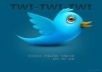 get you 555+ Twitters Followers 100% real & active on your account