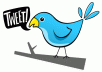 add REAL looking 8000+ twitter followers in your twitter followers profile