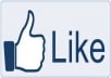 give you 2500+ Real Facebook Likes