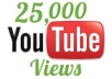 add 20000++ High Quality Unique YouTube Views