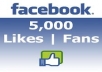 provide 5,000 real facebook likes