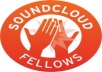 leave 1 detailed comment on each of your Soundcloud tracks and send you a detailed email on how to improve your sound for 