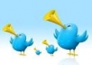 give you 1500+ twitter followers 100% real and active users only
