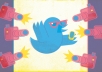 get 22,000+ TWITTER followers Fully profiled without password fastly 1 day