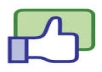 Give You 300+ Facebook Photo / Post Likes Within 6-Hours
