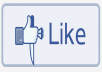 give you 2500 to 3700 to 8500 (extras) real looking facebook likes