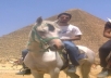 show your name or website next the great pyramids in Egypt 