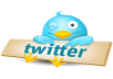 provide 100k twitter followers 