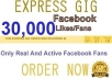 provide you 30000 GUARANTEED real &active facebook fans likes Without Admin Access
