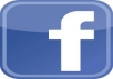 300 unique and real global fb likes on your fan page 