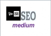 provide a new era SEO medium the most effective Anti Panda service ever