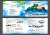 design A Creative Flyer or Brochure 