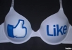 provide you ★★★ 225 ★★★  plus real facebook " likes or subscribers" ★★★with in  24 ★ hours ....★