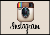 give you 3000+ Instagram followers in less than 6 hours