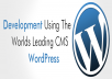 	I will design responsive wordpress website for your business or company with full seo optimization