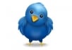 add 15,000 High Quality real looking permanent twitter followers to your twitter account in less than 2 days