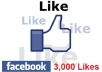 add you 3000 Real and verified Facebook likes to your Website or any link