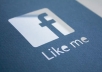  Give you 1050 Worldwide Facebook likes to your Fanpage within 12 hours:)