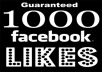 GIVE YOU 1000 FACEBOOK LIKE 100% QUALITY NO DROP ONLY