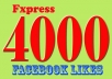 I will deliver 4000+ facebook likes within 48 hours
