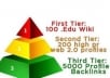  create an awesome seo PYRAMID which includes edu wikis high page rank web profiles and 5000 xrumer profile backlinks