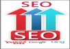 be your SEO Consultant & do SEO + SEM backlinks service