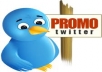 send you 100 safe, permanent RETWETS of your tweet  for                            