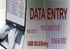 Do any kind of data entry work (Includes Typing, Data entry