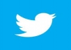 promote Your Website to 2,000+ REAL Twitter Followers in 89 Hours Get Viral by Twitter Retweet Promotion for