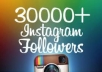 give you 30000+ instagram followers/likes
