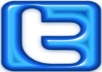provide you *666* twitter followers to any twitter account 
