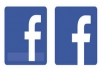 guaranteed 600++ FACEBOOK, Likes to your facebook fanpage for