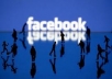 give You 150+ Real facebook Likes For Your facebook Page ⇨No Bots ⇨No Fake ⇨All Human Fans for 